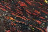 Polished Tiger Iron Stromatolite - ( Billion Years) #75847-1